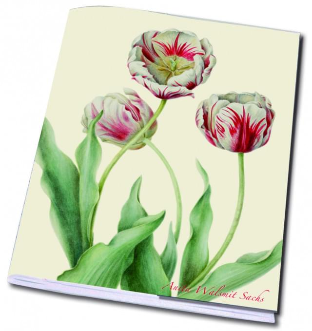 Schrift A5: Tulipa 'Teyler', Anita Walsmit Sachs