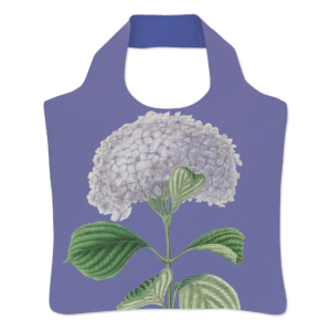 Folding bag: Hydrangea macrophylla ‘Otaksa’, Siebold, Hortus Leiden