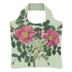 Folding bag: Rosa rugosa, Siebold, Hortus Leiden