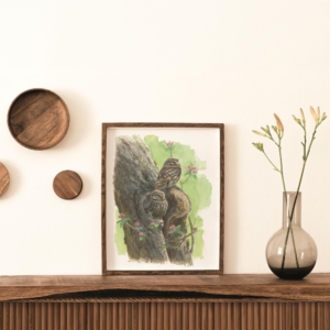 Giclée: 250e editie Vogelbescherming