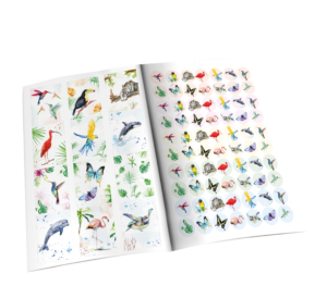Gift wrap book: Michelle Dujardin