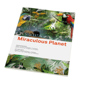 Gift wrap book: Miraculous Planet, Tord Boontje, Naturalis