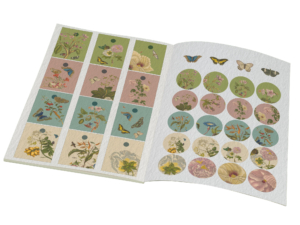 Gift wrap book: Maria Sibylla Merian, Rijksmuseum Amsterdam