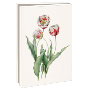 Card folder with env. Small: Bloemen, Anita Walsmit Sachs