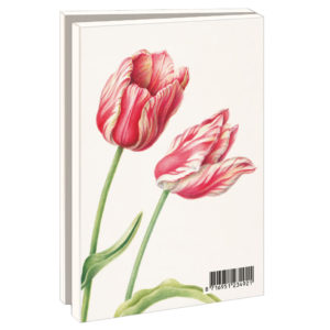 Card folder with env. Small: Tulipa Zomerschoon, Anita Walsmit Sachs