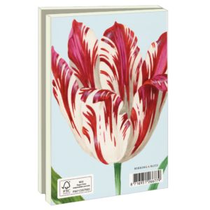 Card folder with env. Small: Tulpen/Tulips, Jacob Marrel, Collection Rijksmuseum Amsterdam