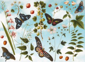 Puzzle (1.000 pieces): Collage from several artworks, Joseph Jacob von Plenck,The Fitzwilliam Museu