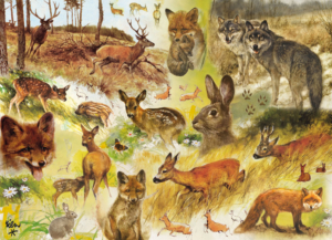 Puzzle (1.000 pieces): Drawn to Nature, Rien Poortvliet