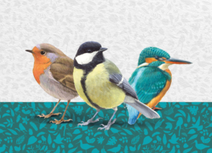 Puzzle (1.000 pieces): Collectie 2026, Elwin van der Kolk, Vogelbescherming Nederlands