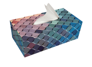 Tissue box holder: Escames, Casa Batlló, Gaudi Barcelona
