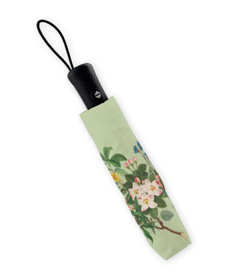 Folding umbrella: Botanical Treasures, Chester Beatty