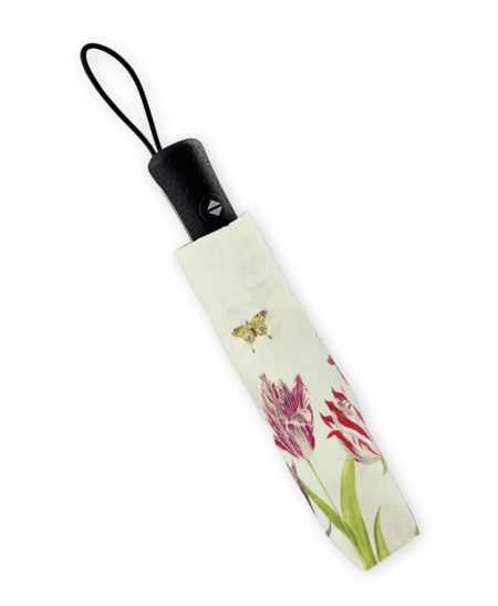 Folding umbrella: Tulpen/Tulips, Jacob Marrel, Collection Rijksmuseum Amsterdam