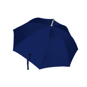 Umbrella: Bach for all, Nederlandse Bachvereniging