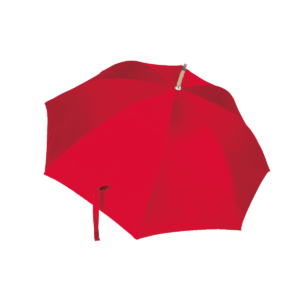 Umbrella: Botanical Treasures, Chester Beatty