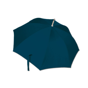 Umbrella: Bloemstilleven met Tulpenvaas, Roman Reisinger