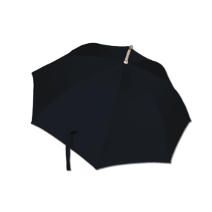 Umbrella: Feldhase, Albrecht Dürer, Albertina