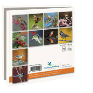Card folder with env. Square: Tuinvogels, Vogelbescherming Nederland
