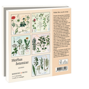 Card folder with env. Square: Stoepplantjes, Hortus botanicus Leiden