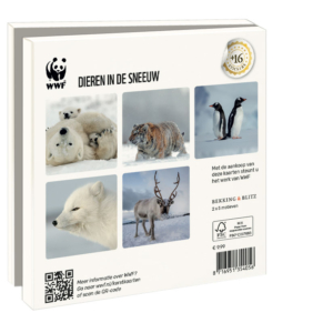 Card folder with env. Square: Dieren in de sneeuw, Wereld Natuurfonds