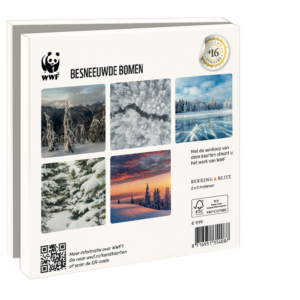 Card folder with env. Square: Besneeuwde bomen, Wereld Natuurfonds