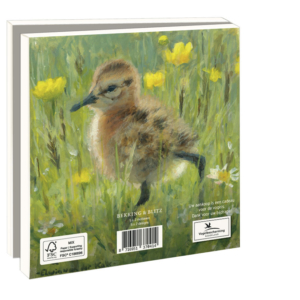 Card folder with env, Square: Lente, Elwin van der Kolk, Vogelbescherming