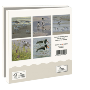 Card folder with env, Square: Wadvogels, Elwin van der Kolk, Vogelbescherming