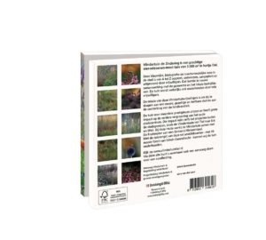 Card folder with env, Square: Vlindertuin, De Zindering