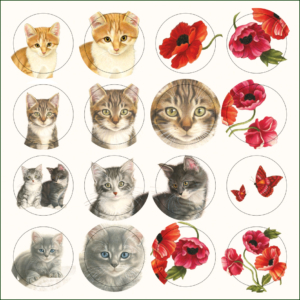 Card folder with env, Square: Kittens & Poppies