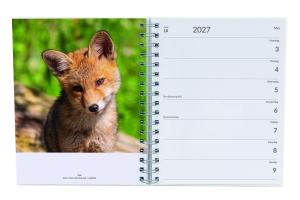 The Netherlands – A country full of nature, weekagenda 2027
