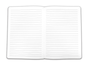Notebook A5 softcover: Rode geraniums in een blauwe pot, Voerman, de Fundatie