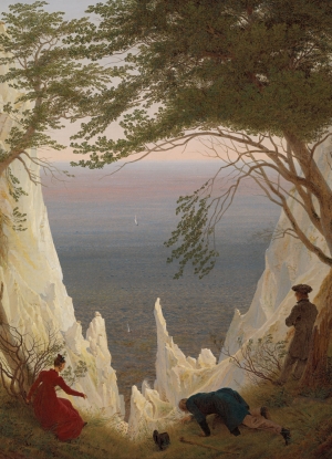 Puzzle (1.000 pieces): Winterthur-Kreidefelsen auf Rugen
