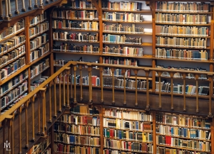 Puzzle (1.000 pieces): Die Klosterbibliothek, Maria Laach