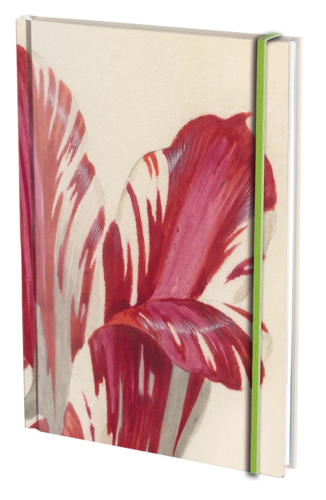 Notebook A5 hardcover: Tulpen/Tulips, Jacob Marrel, Rijkmuseum Amsterdam
