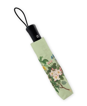 Folding umbrella: Botanical Treasures, Chester Beatty