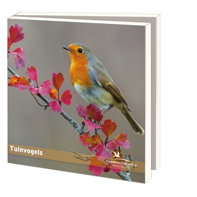 Card folder with env. Square: Tuinvogels, Vogelbescherming Nederland