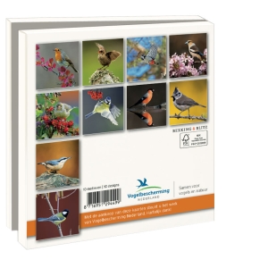 Card folder with env. Square: Tuinvogels, Vogelbescherming Nederland
