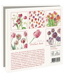 Card folder with env. Square: Tulips, Anita Walsmit Sachs