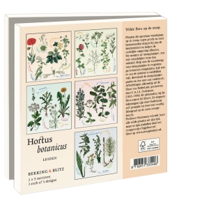 Card folder with env. Square: Stoepplantjes, Hortus botanicus Leiden