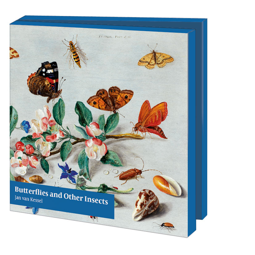 Card folder with env, Square: Butterflies and Other Insects, The Fitzwilliam Museum