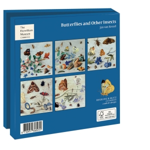 Card folder with env, Square: Butterflies and Other Insects, The Fitzwilliam Museum