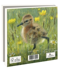 Card folder with env, Square: Lente, Elwin van der Kolk, Vogelbescherming