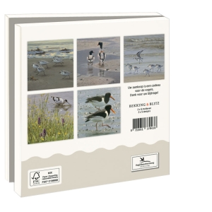 Card folder with env, Square: Wadvogels, Elwin van der Kolk, Vogelbescherming