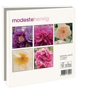 Card folder with env, Square: Roses, Modeste Herwig