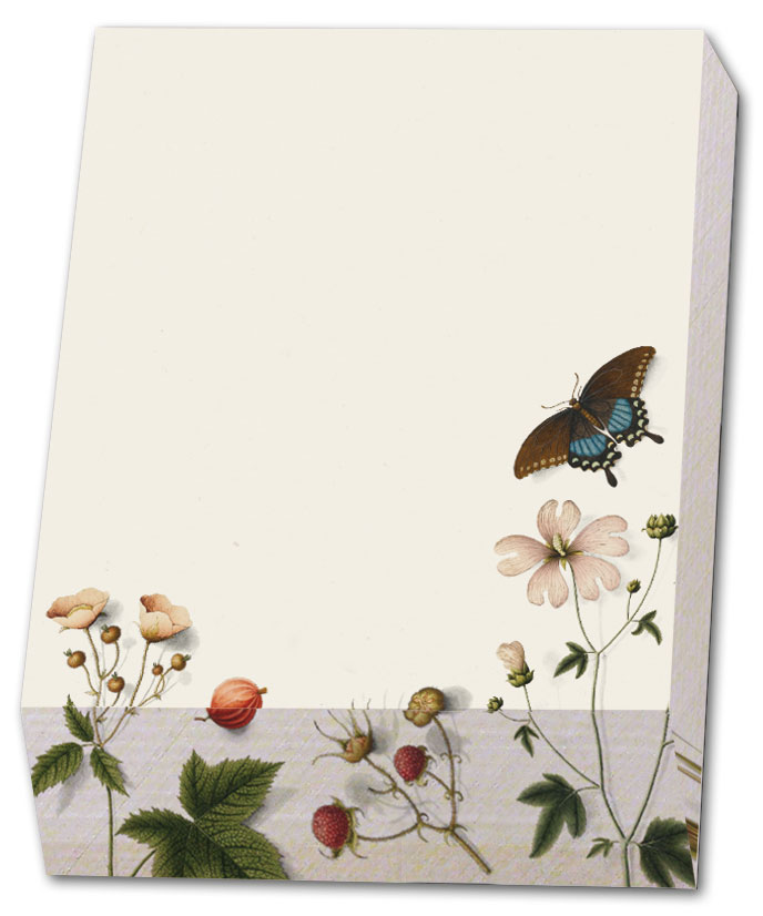 Memo pad: Collage from several artworks, Joseph Jakob von Plenck, The Fitzwilliam Museum