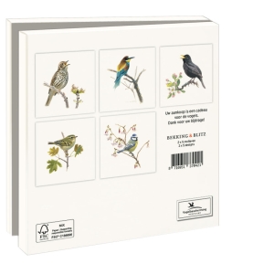 Card folder with env, Square: Songbirds, Elwin van der Kolk, Vogelbescherming